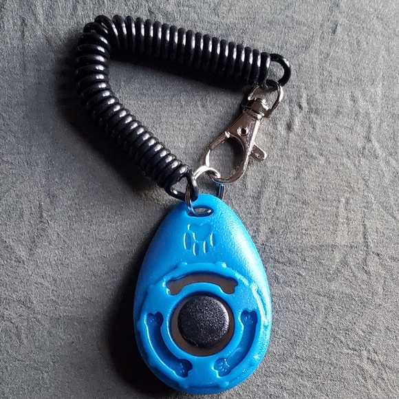 Blue Teardrop Clicker Keychain - Picture 2 of 3